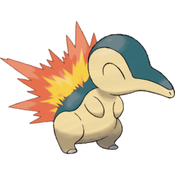 arkclaimer's tweet photo. Do you like Cyndaquil https://t.co/d73Qp1VS3U