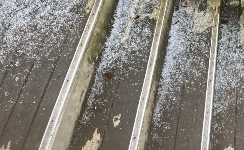 Arthaey Angosii tweet media