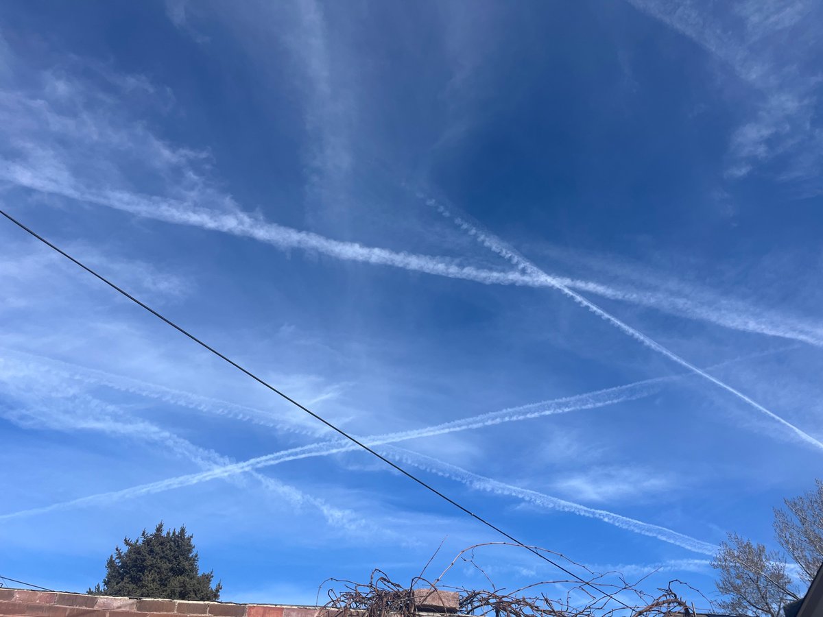 PaddyB 💹🧲 tweet media