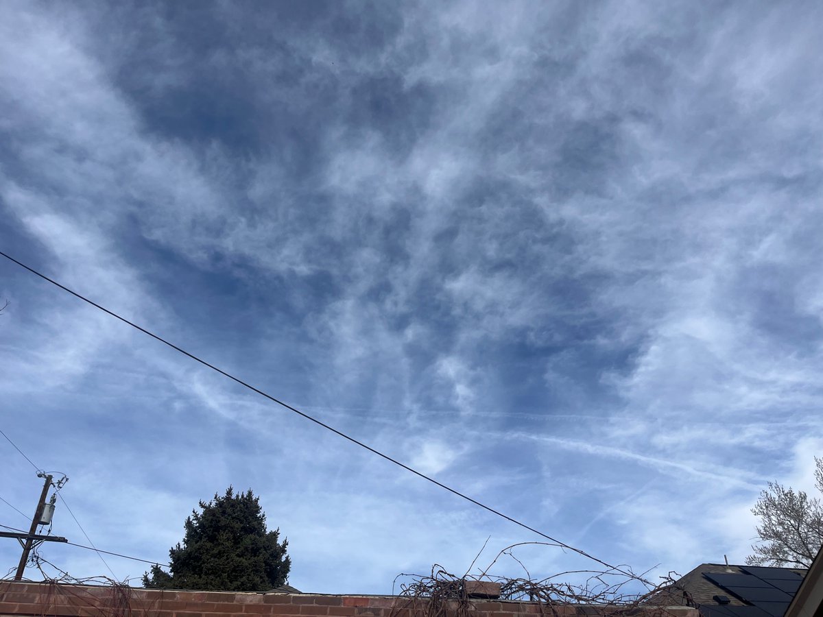 PaddyB 💹🧲 tweet media