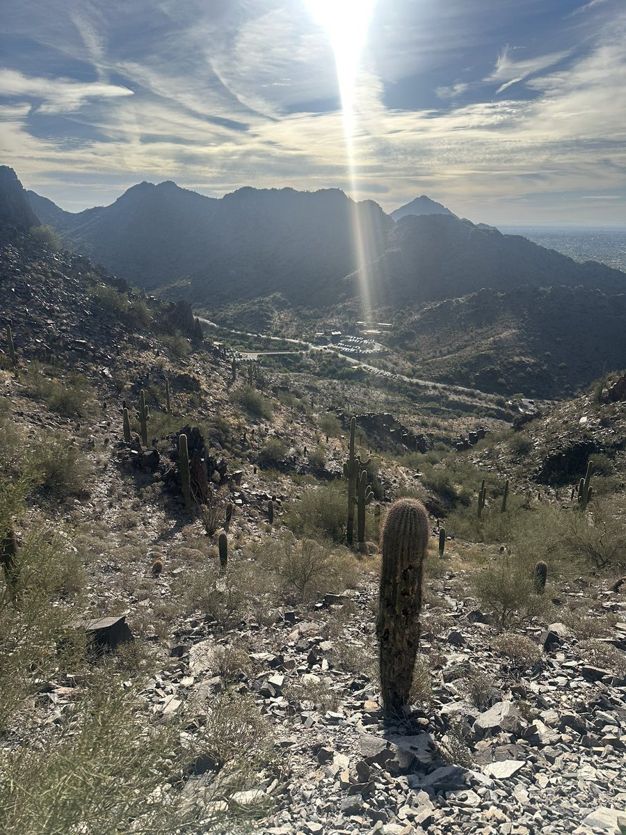 Bianca Simone tweet media