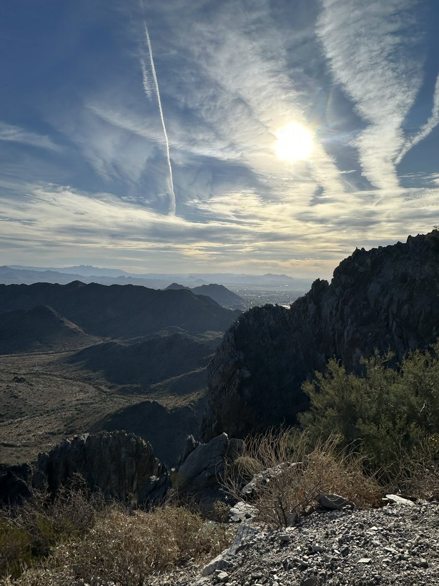 Bianca Simone tweet media