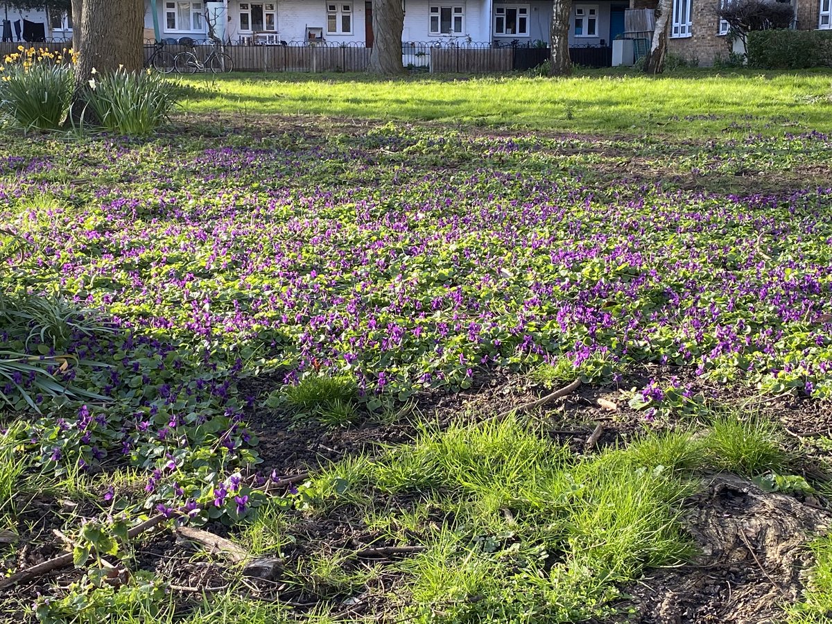 Api:Cultural tweet media