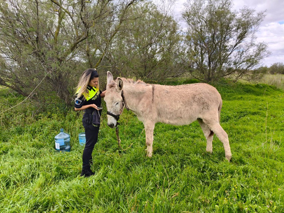 Policiaportuariasevilla tweet media