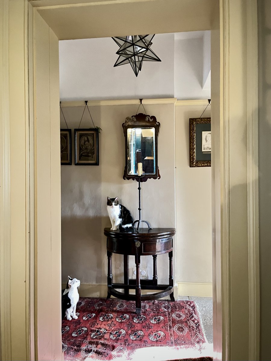 Barendina Smedley tweet media