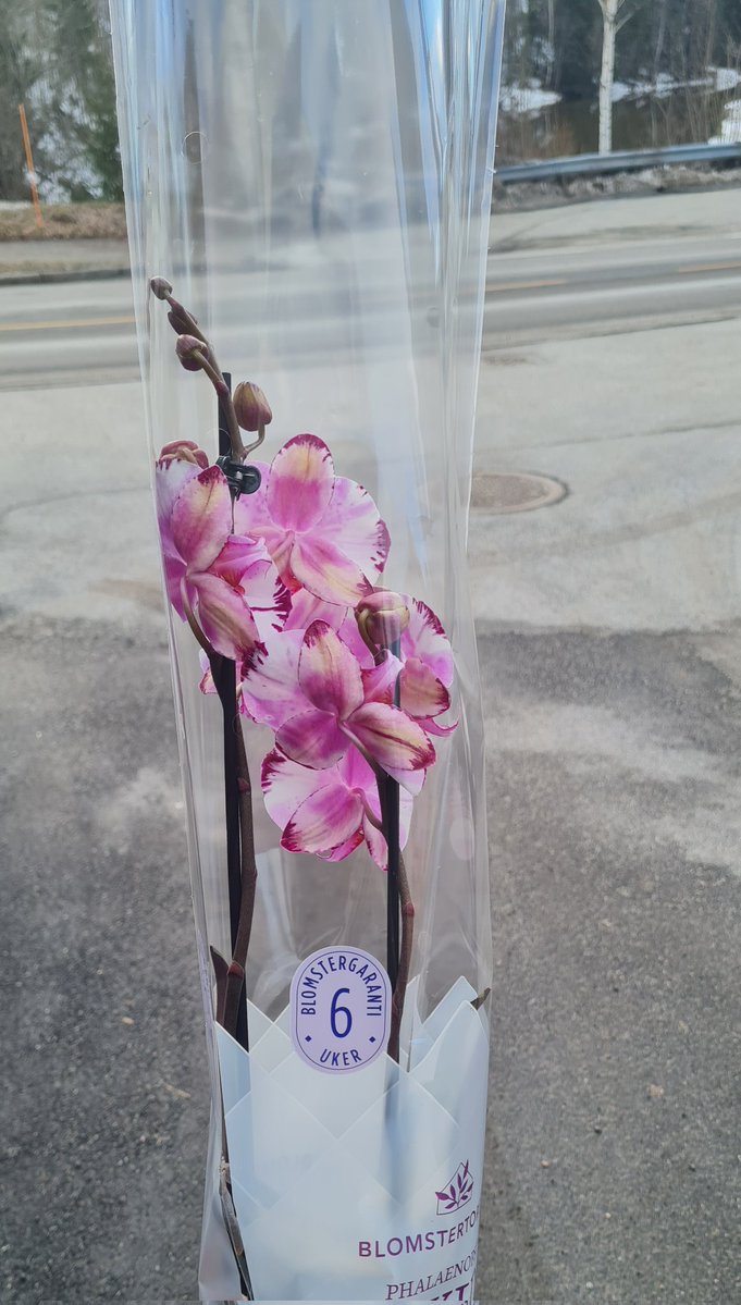 Yine bir iftar meselesi 😁😁