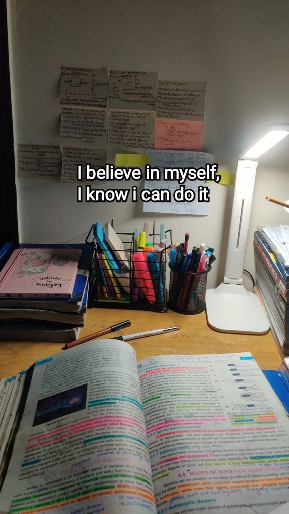 Luna Carter tweet media