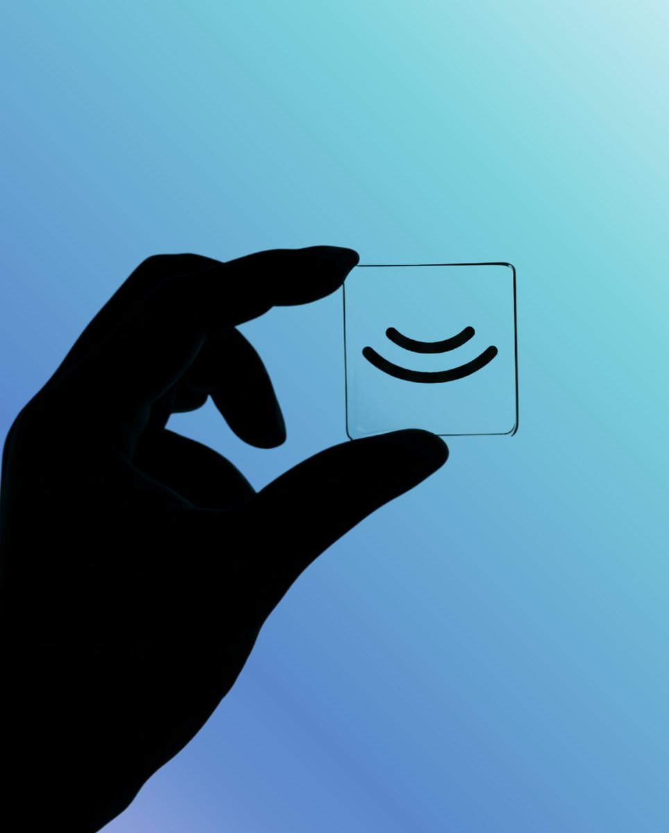 Sandra Kings (Brand Designer) tweet media