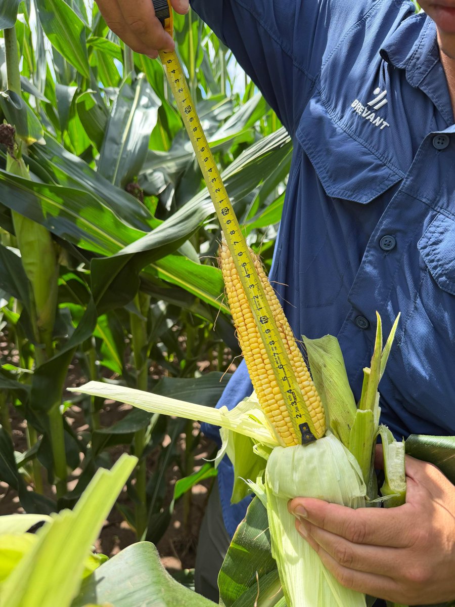 AGD TUCUMÁN tweet media