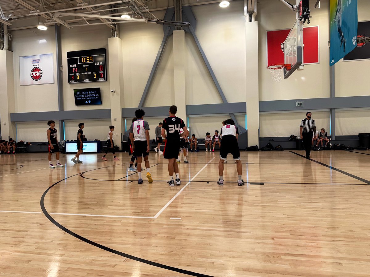 Pro Insight tweet media