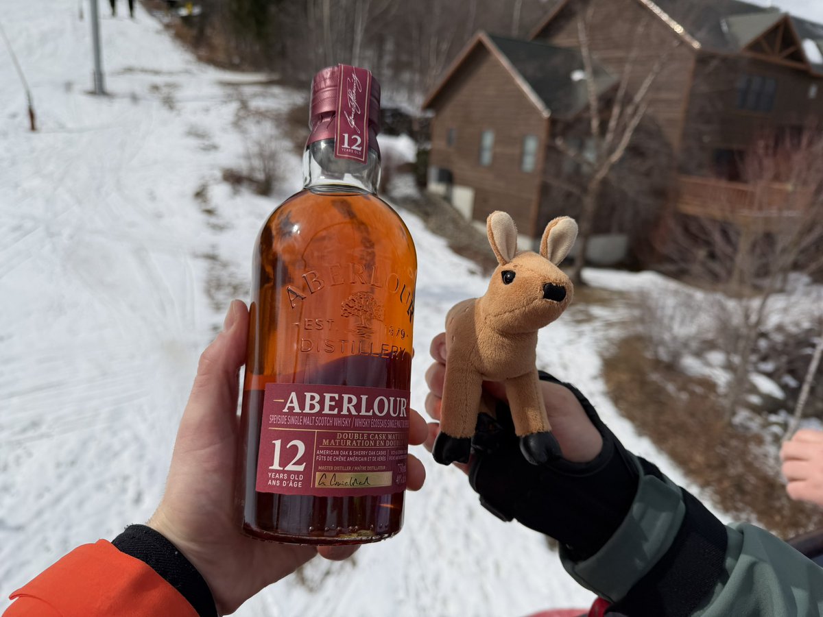 Avi Fox🍊🦊 tweet media