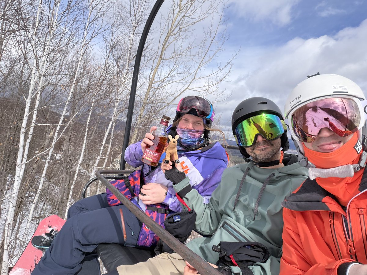 Avi Fox🍊🦊 tweet media