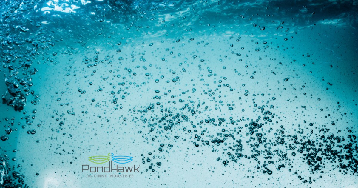 PondHawk by LINNE Industries tweet media