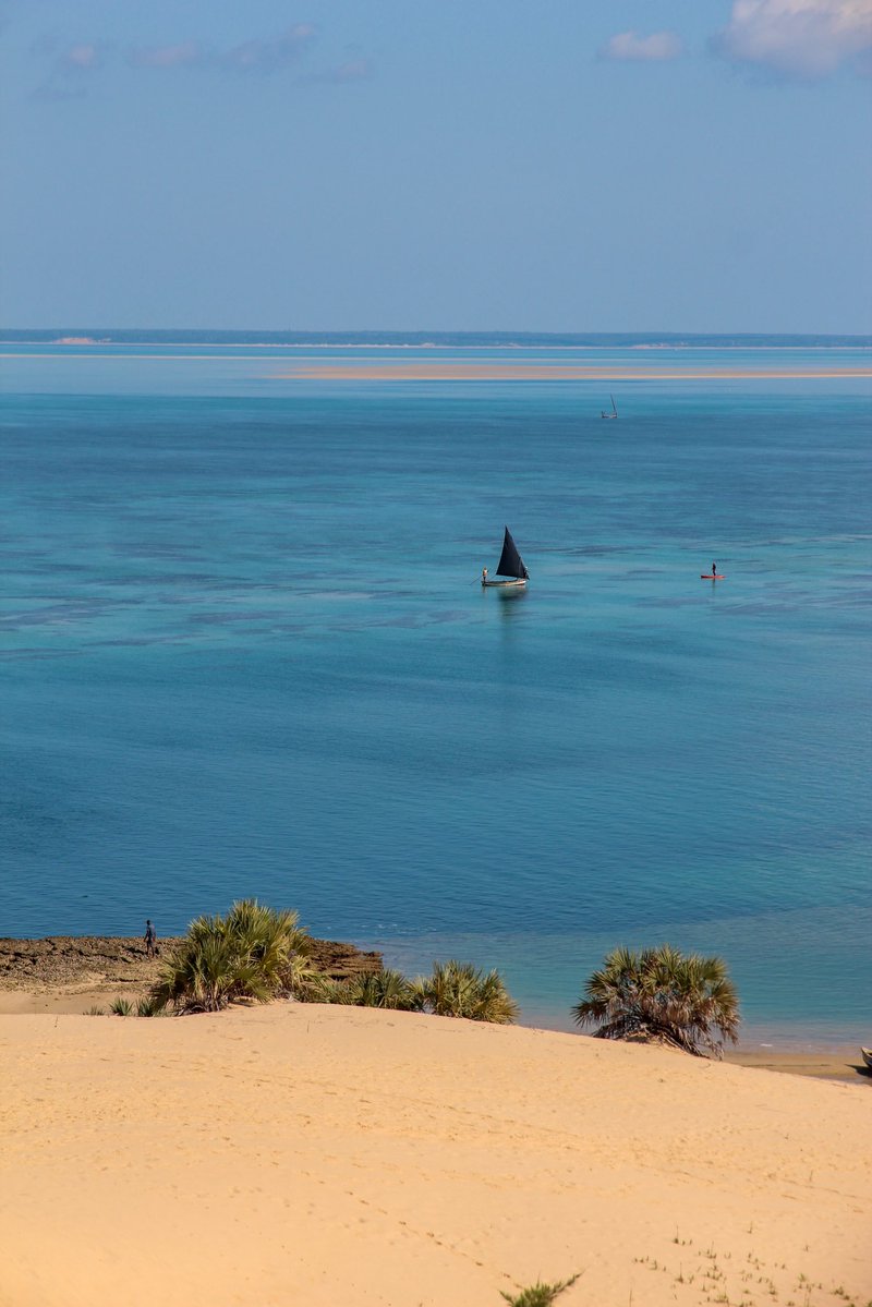 Globe Tucker tweet media