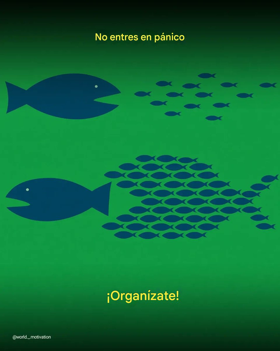 <a href="/periodistasoy/">Rodolfo Ruiz R.</a> <a href="/e_consulta/">Periódico e-consulta</a> Vamos Puebla!!