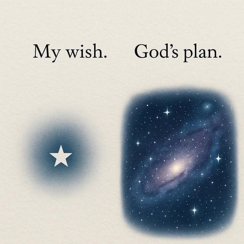 vintagelover tweet media