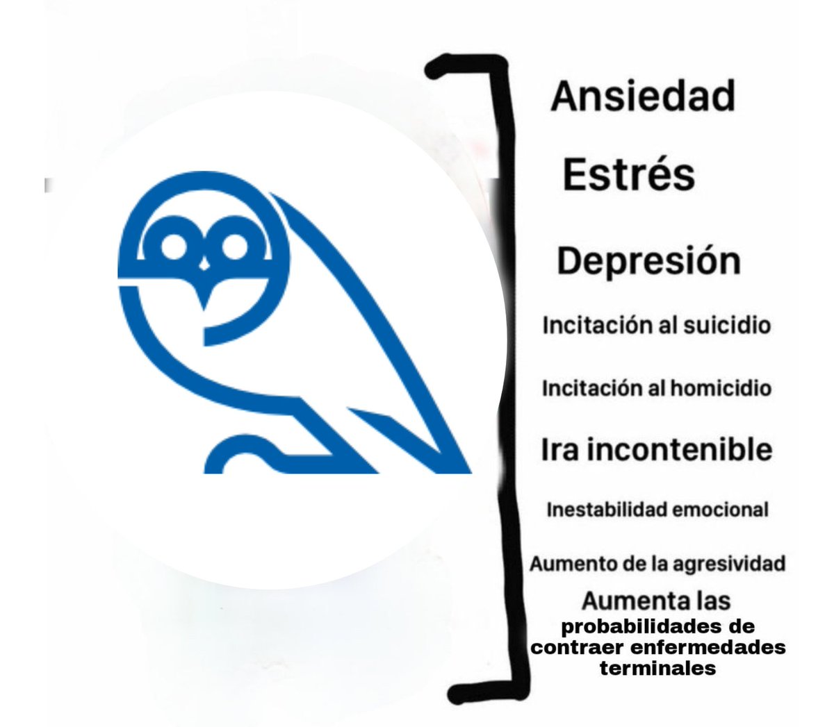 Sheffield Wednesday_ES tweet media