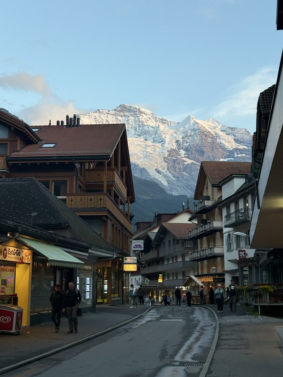 Wanderlusting Travel Bug tweet media