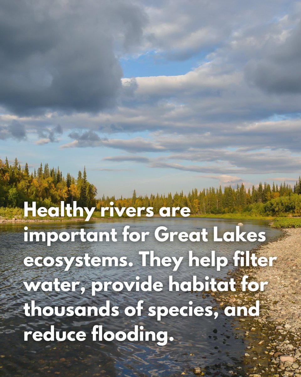 Great Lakes Plastic Cleanup tweet media