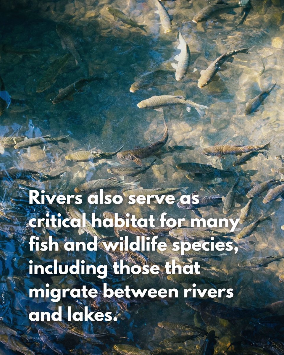 Great Lakes Plastic Cleanup tweet media