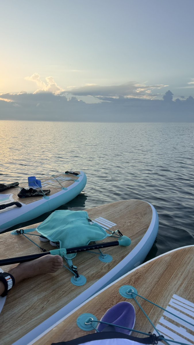 Carlos R tweet media