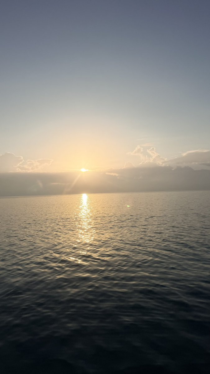 Carlos R tweet media