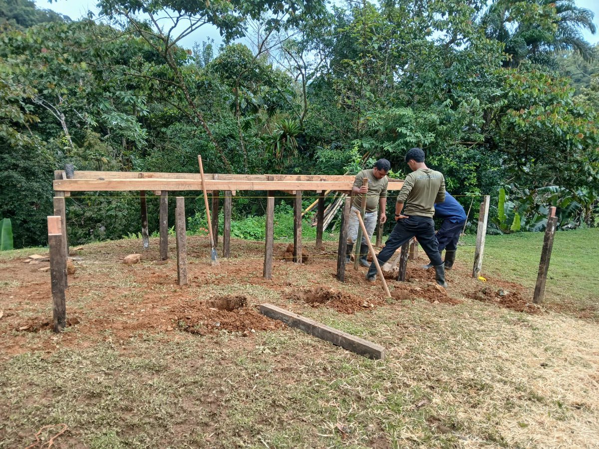📍 Veraguas, Parque Nacional Santa Fe | Nuestros guardaparques iniciaron trabajos para el establecimiento de un vivero dentro del área protegida, con el objetivo de producir plantones que serán utilizados en futuras jornadas de reforestación.

#MiAMBIENTEestáEnElCampo 🌱