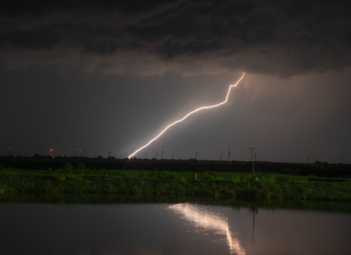 Shane R Muckey tweet media