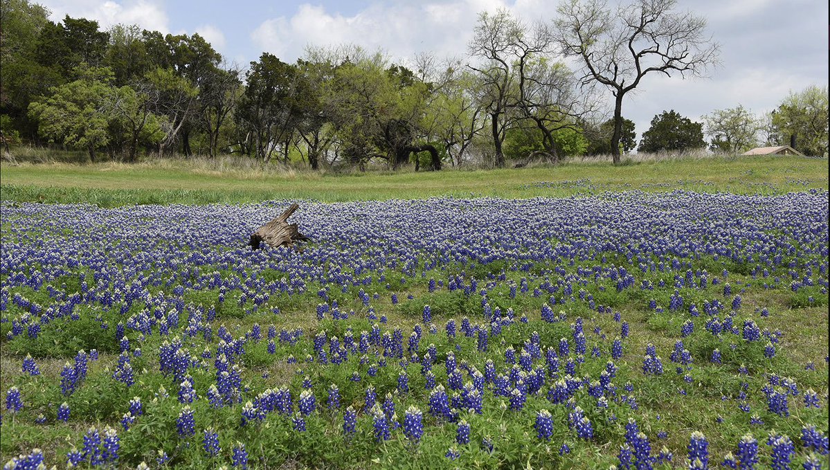 Christopher McQuade tweet media
