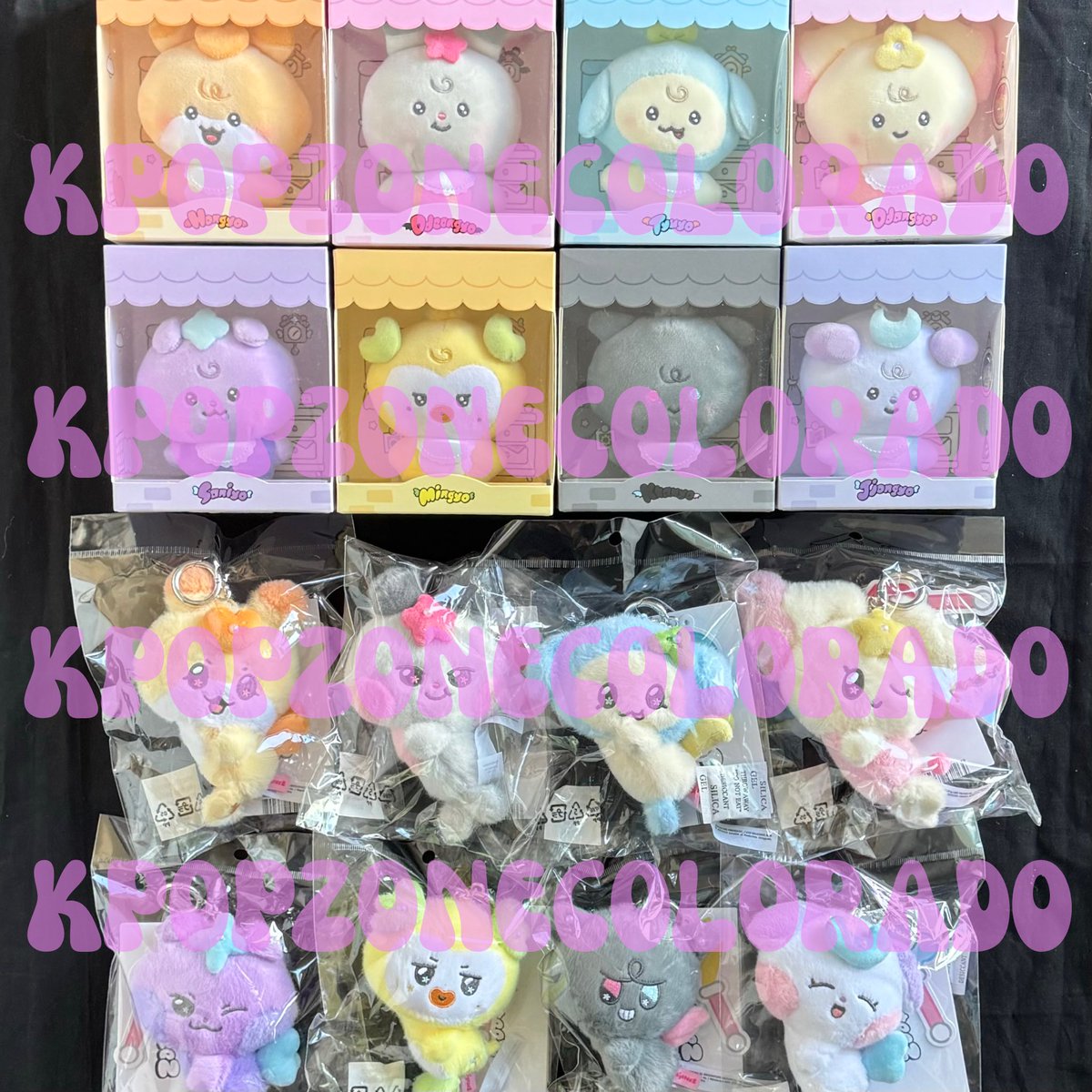 KPOP ZONE COLORADO tweet media