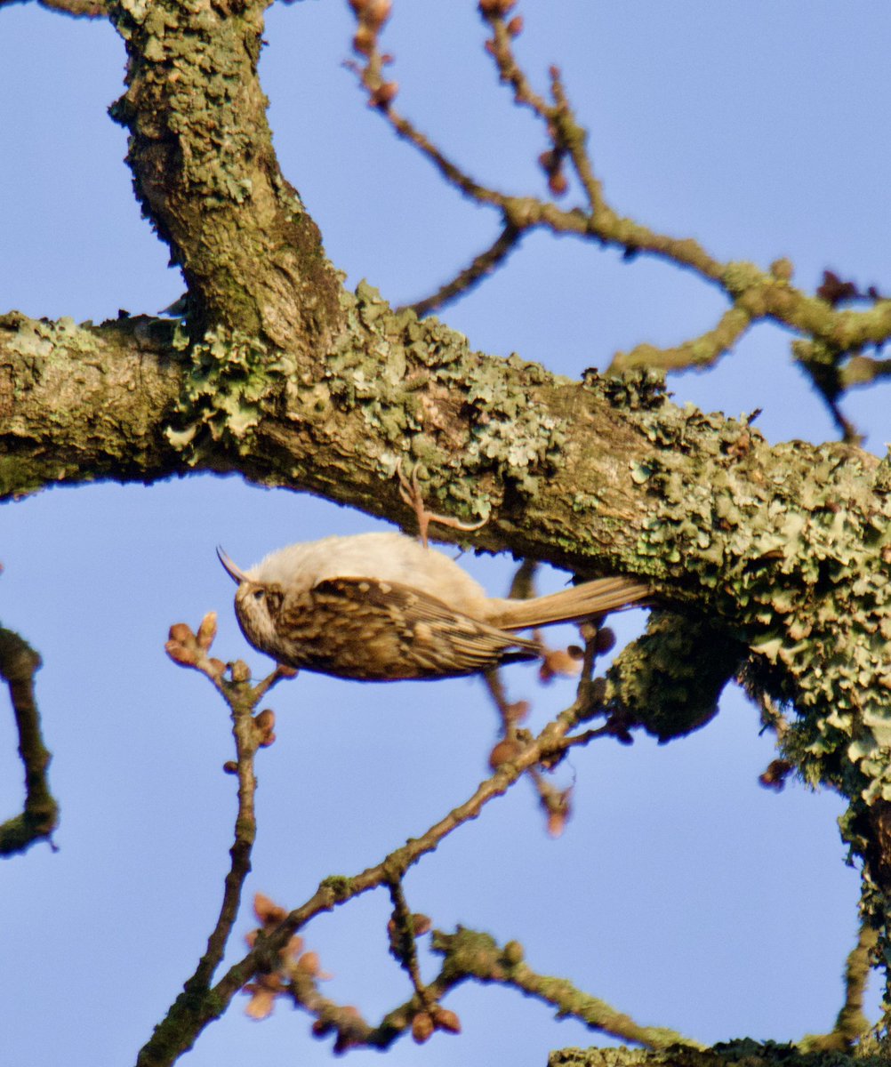 Tim Ridgeway tweet media