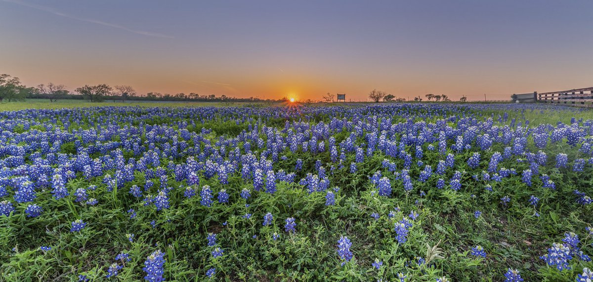 Christopher McQuade tweet media
