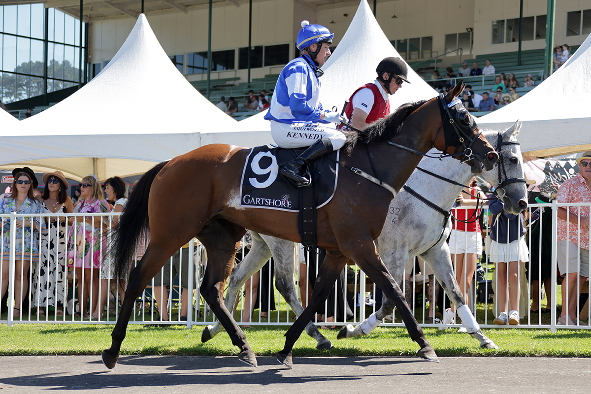 Logan Racing Stables tweet media