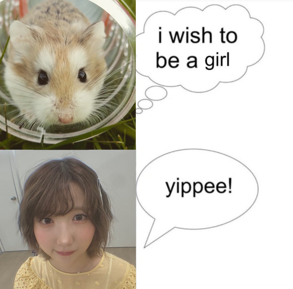 𝝑୧ (@archivehii) on Twitter photo 
