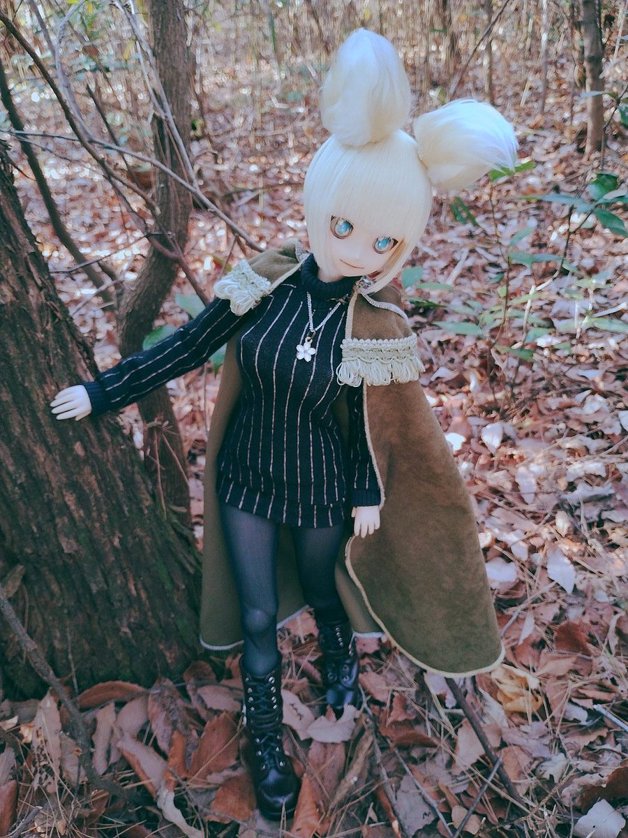 PlainLife tweet media