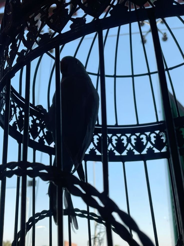 Jealous_Purity 💙💛🎂HAPPY B-DAY WILL!🎂 tweet media