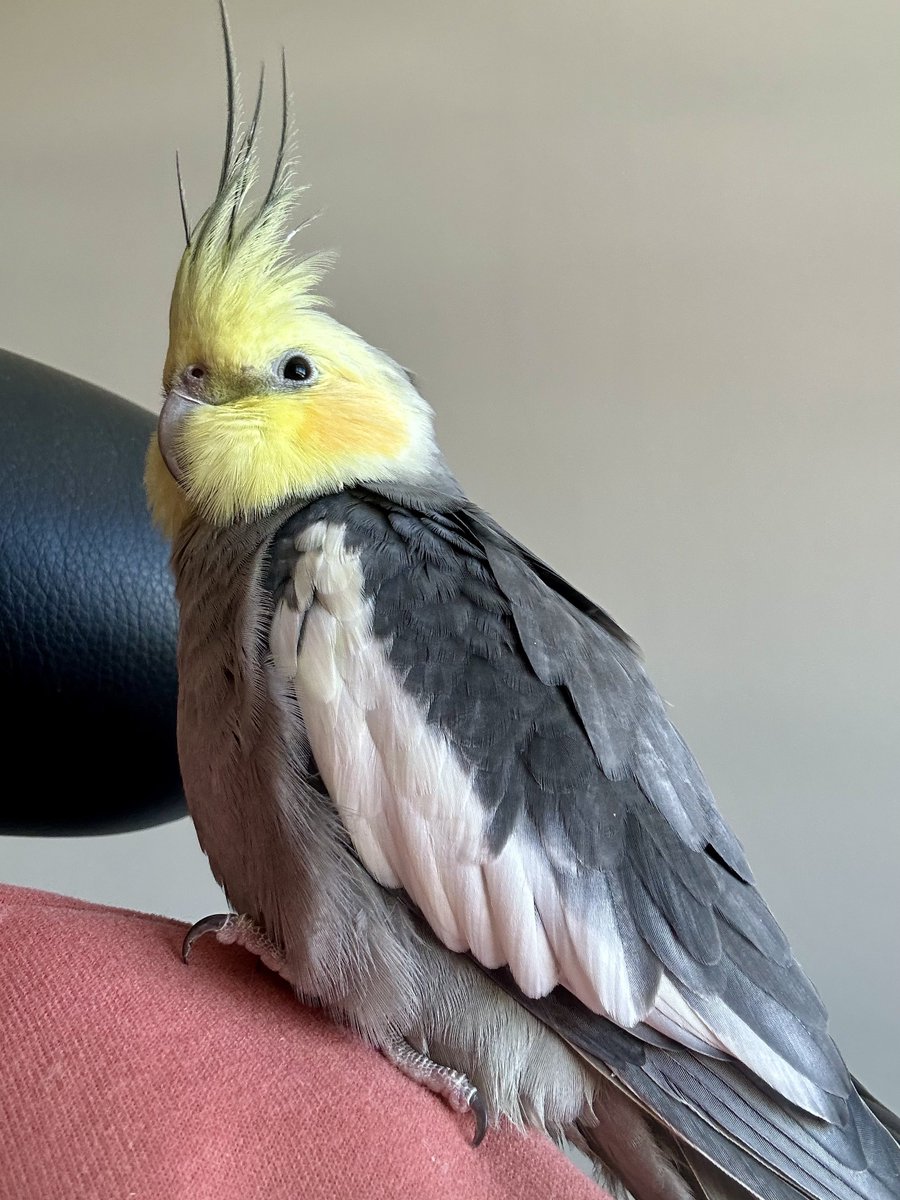 Mike Sands tweet media