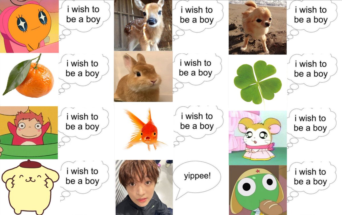 wijufish's tweet photo. i couldn't pick just one https://t.co/p72El8UyxF