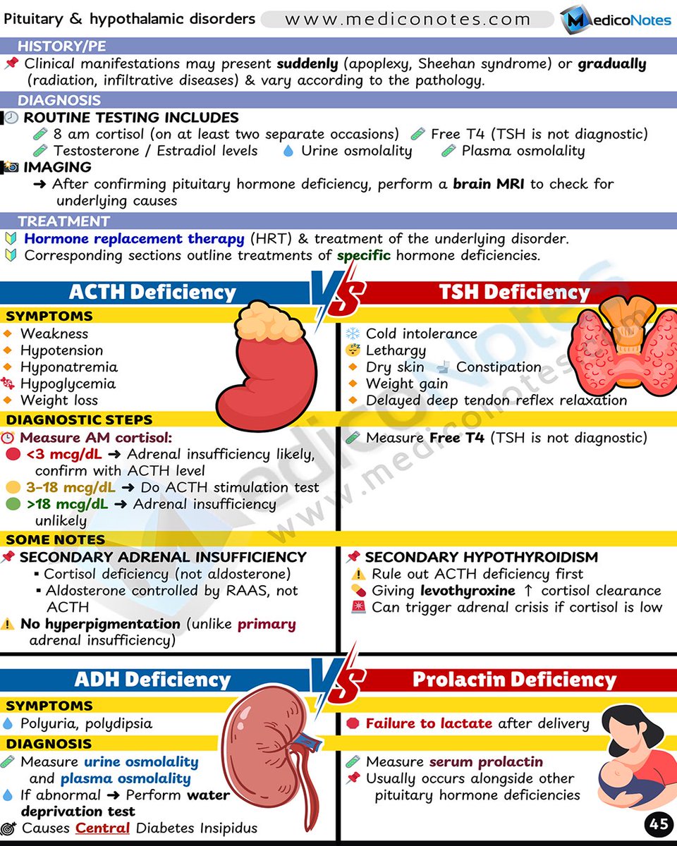 MedicoNotes tweet media