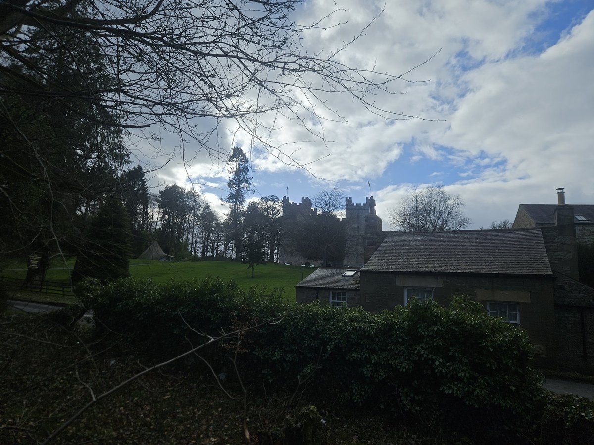 Ashleigh Bennett tweet media