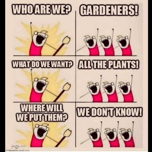 Alex 🐝 tweet media