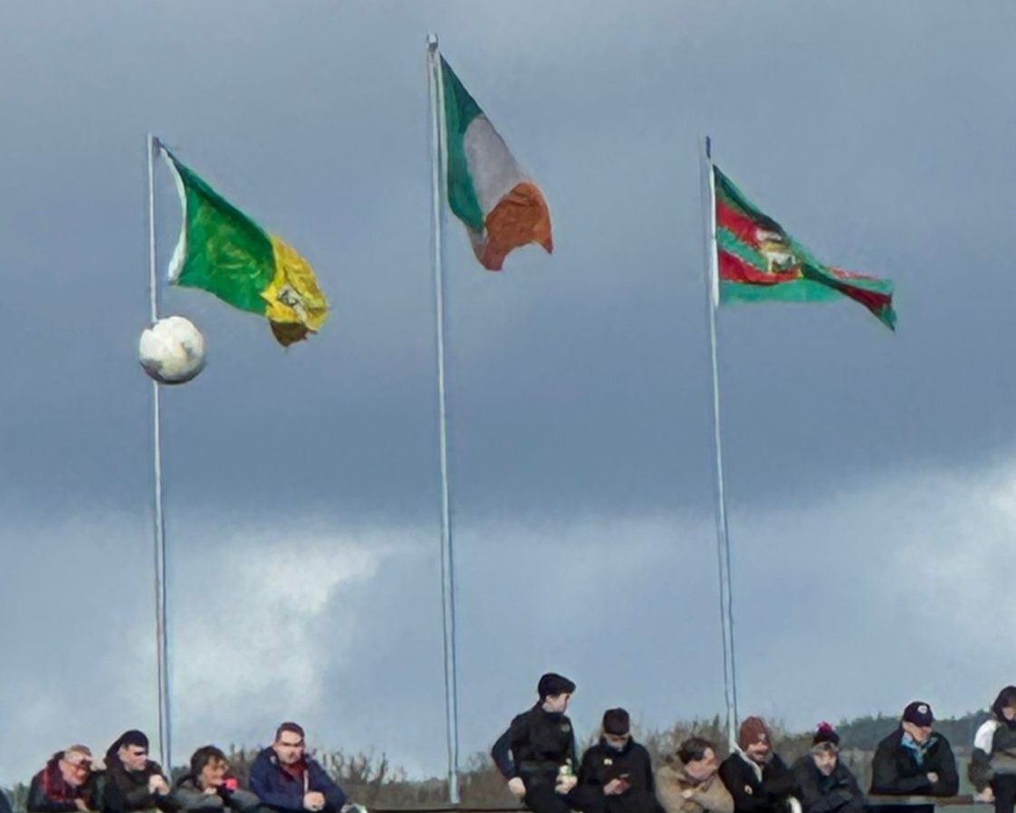 Irish Red Cross - Tralee tweet media