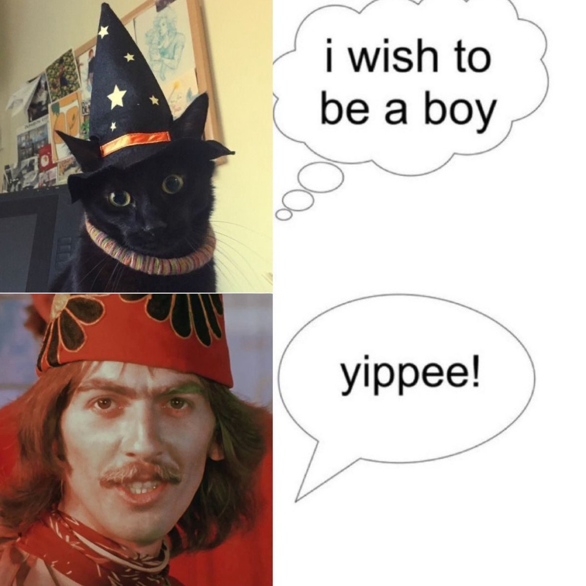 アレクシス ⁶³ tweet media