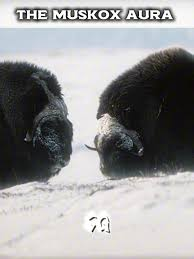 jadswrldonsol tweet media