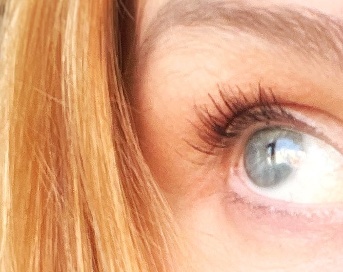 Коть учёный tweet media