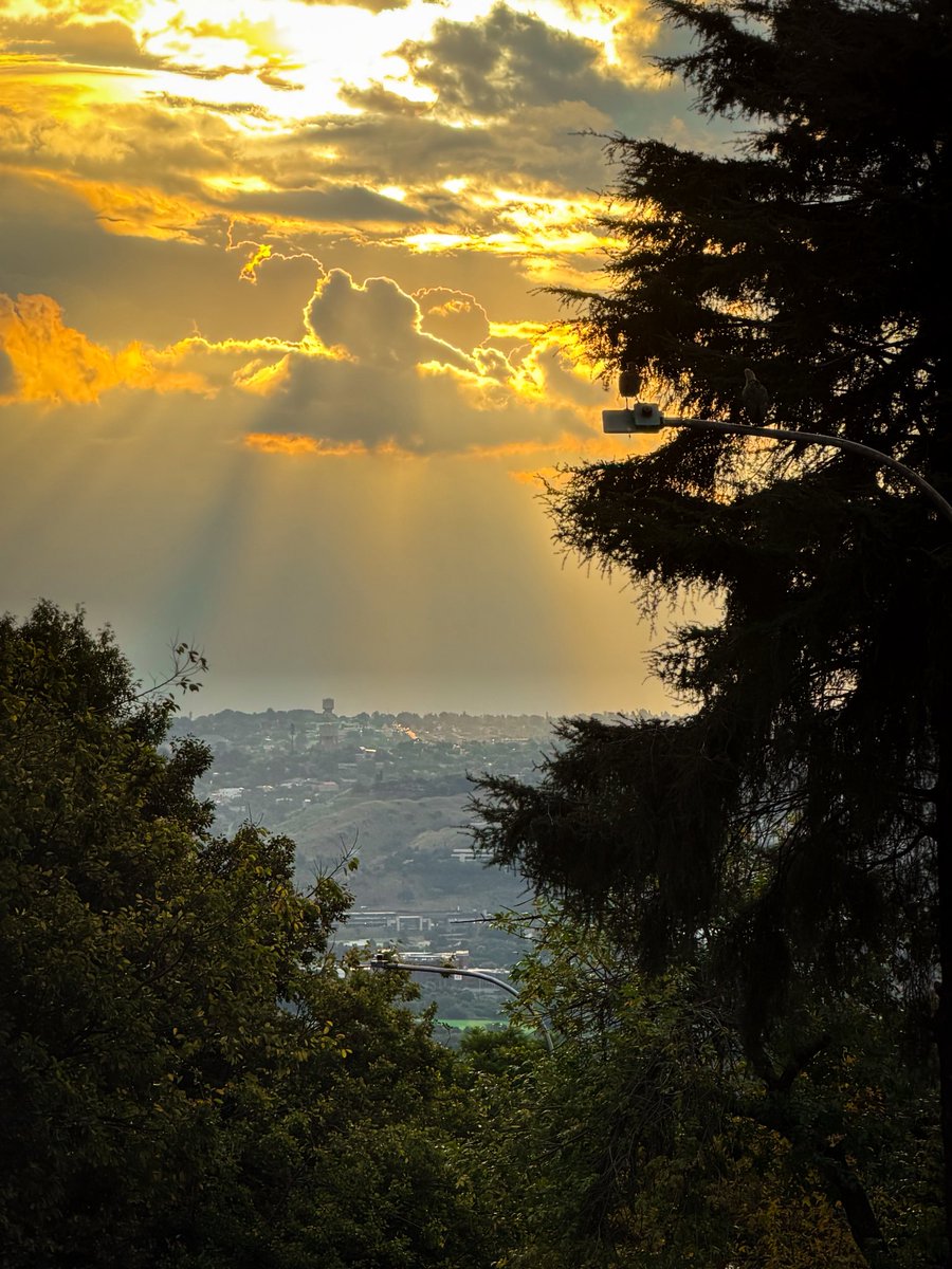 Ulrich Janse van Vuuren tweet media