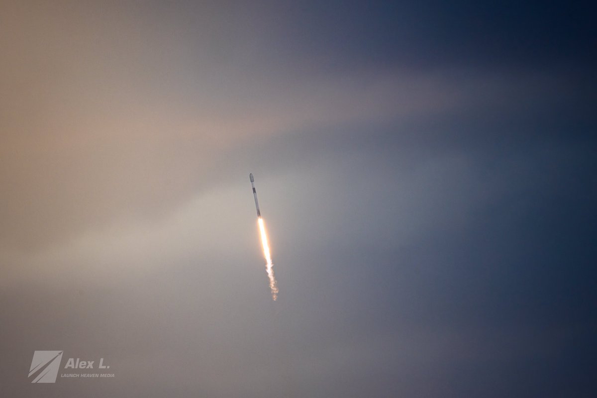 Alex L. 🚀 tweet media