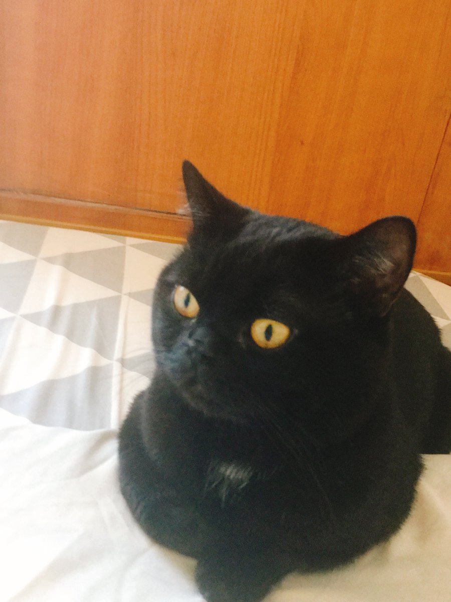 ㍍Meter tweet media