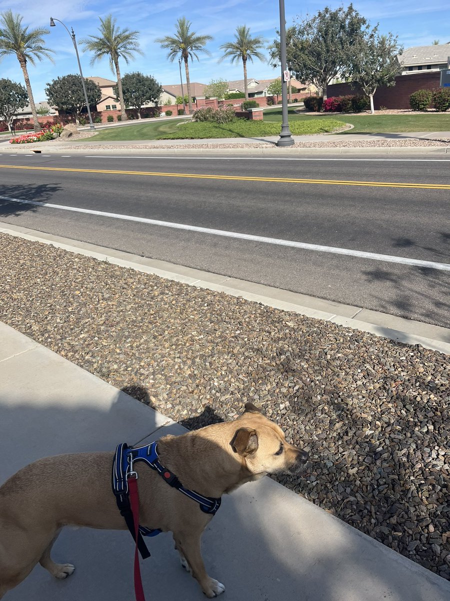 Squatchy Brew Dude😎 tweet media