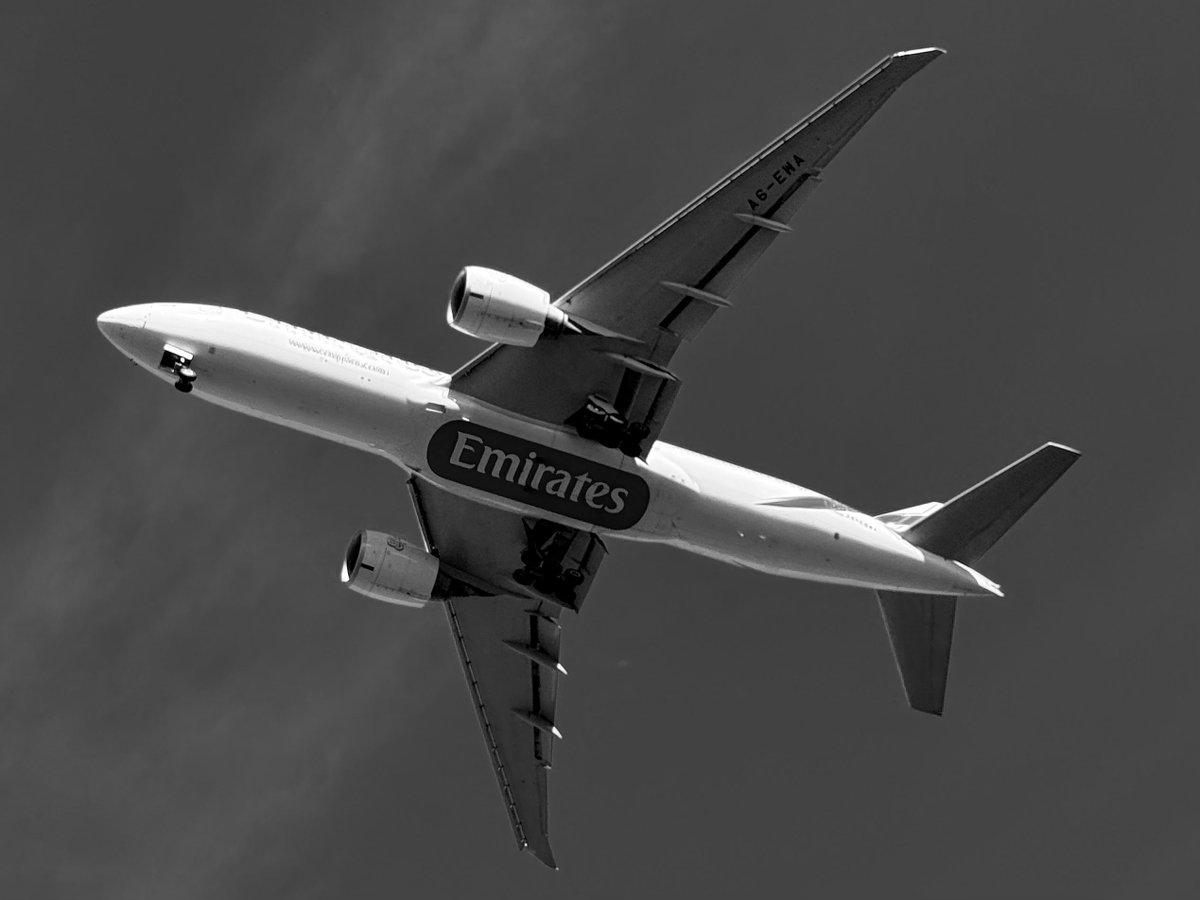 nclflyer tweet media